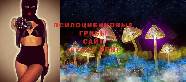 mix Алексин
