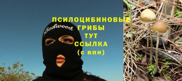 гидропоника Алзамай